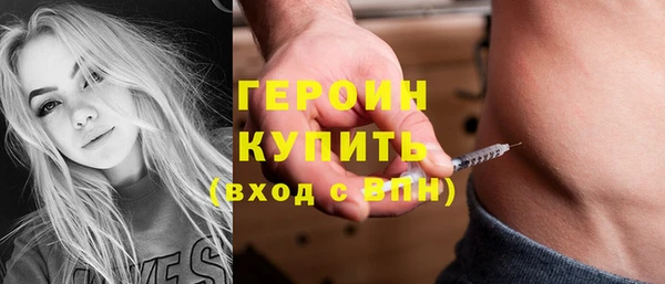 гидра Богородицк