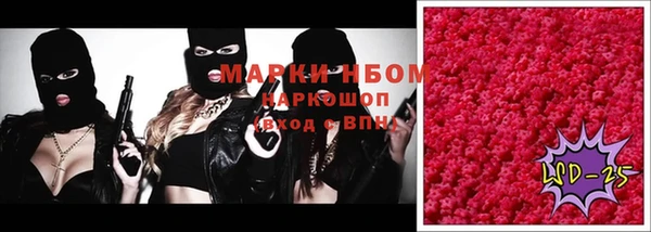 PSILOCYBIN Ростов