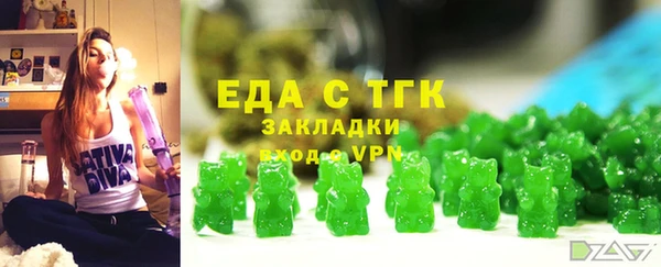 дживик Бородино