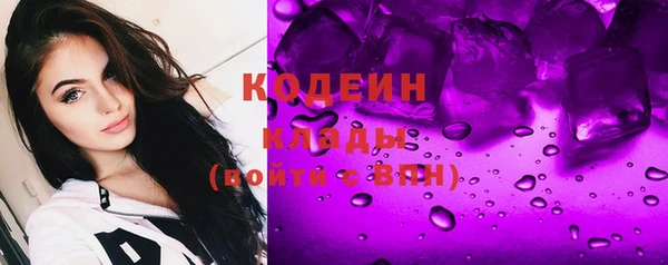 дживик Бородино