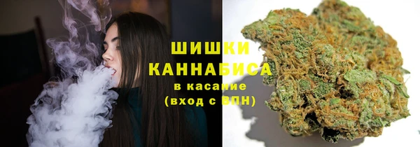 дживик Бородино