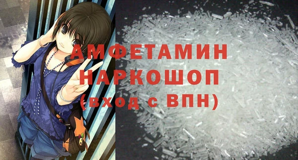 дживик Бородино