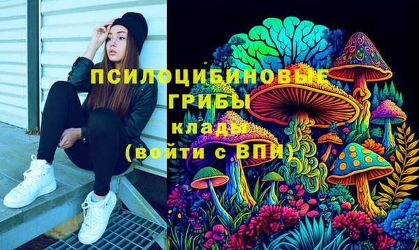 метадон Рославль