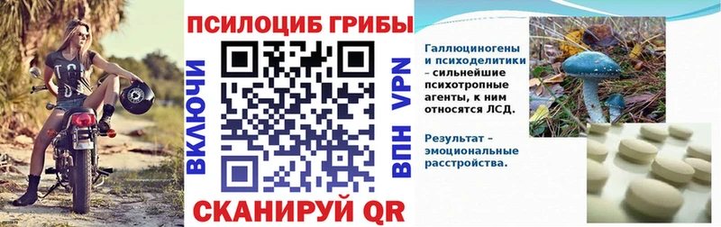 МЕГА сайт  Горбатов  Псилоцибиновые грибы Psilocybine cubensis  продажа наркотиков 