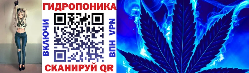 Бошки марихуана VHQ  hydra вход  Горбатов  наркотики 